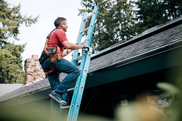 Best Cold Roofs  in Ogden, IA